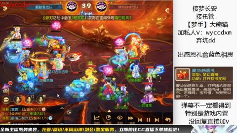 接大海龟活动最后俩天