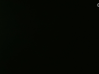 等风也等你
