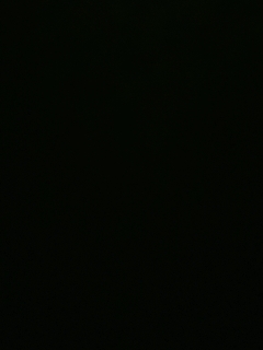 不要留下我一个人孤军奋战..