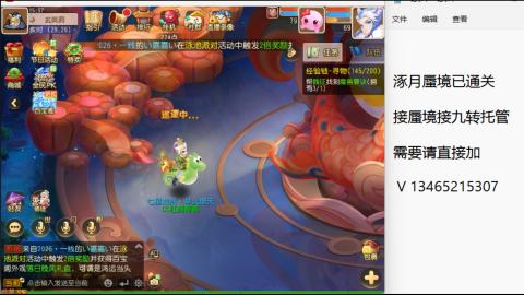 接九转蜃境托管~