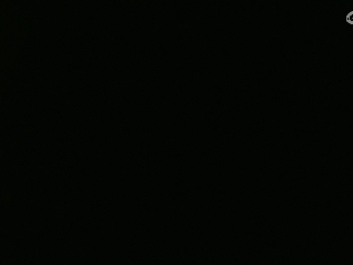 等风也等你