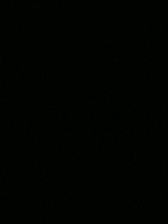 不要留下我一个人孤军奋战..