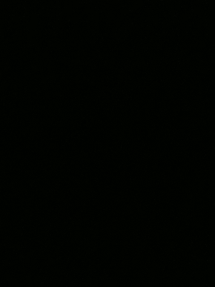 怀念ㄨ-非酷即帅家族的直播