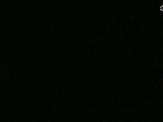 等风也等你