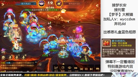 接大海龟活动最后俩天