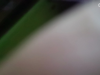 别翻了~就我了~