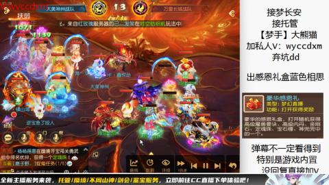 接大海龟活动最后俩天