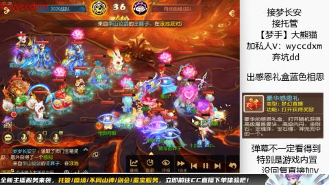 接大海龟活动最后俩天