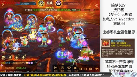 接大海龟活动最后俩天