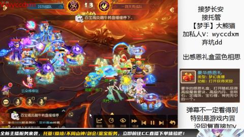 接大海龟活动最后俩天
