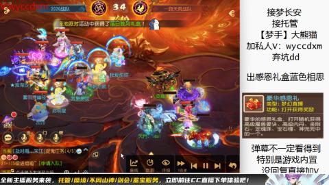 接大海龟活动最后俩天