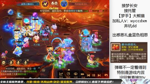 接大海龟活动最后俩天