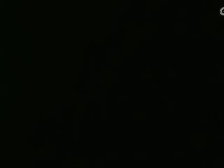 等风也等你