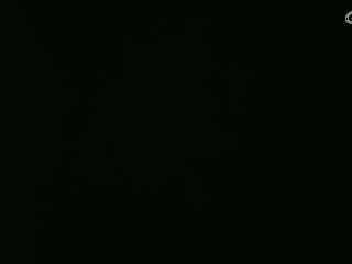 等风也等你