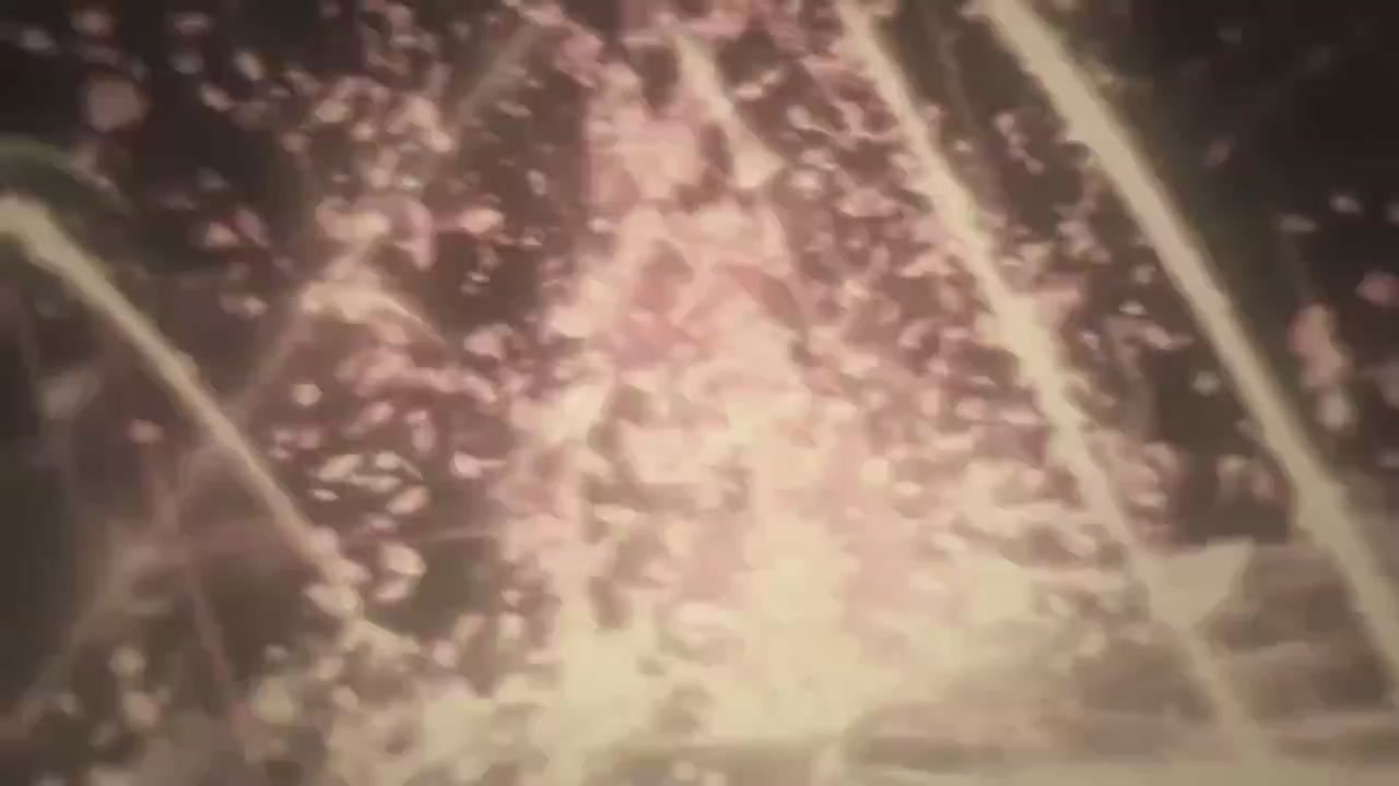 梦幻西游动画片第一季第9集