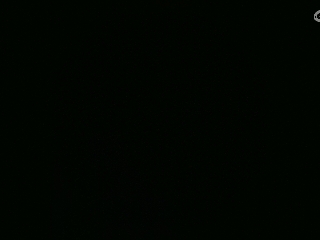 不要留下我一个人孤军奋战..