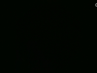 不要留下我一个人孤军奋战..