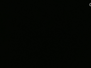 等风也等你