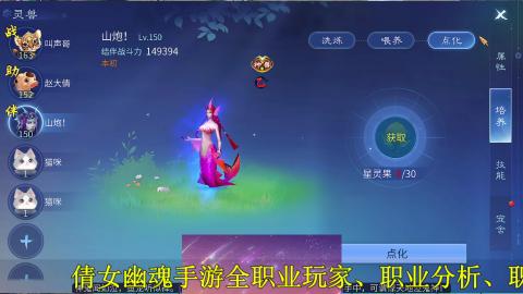 背饰打造，账号托管
