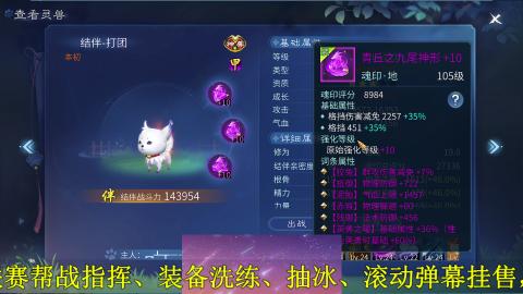 背饰打造，账号托管