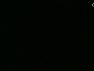 不要留下我一个人孤军奋战..