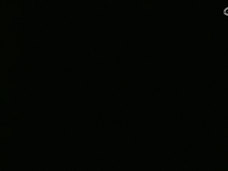 等风也等你
