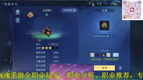 背饰打造，账号托管