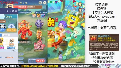 接大海龟活动最后俩天