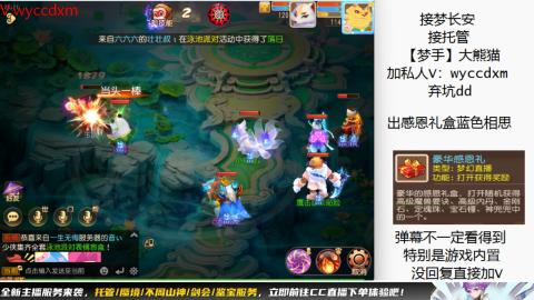 接大海龟活动最后俩天