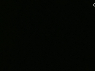 等风也等你
