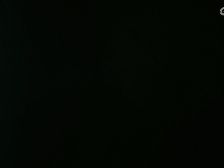 等风也等你