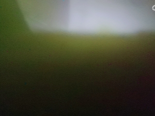 这个直播间很火