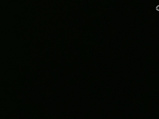 等风也等你