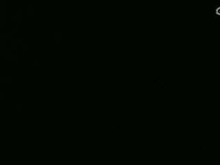 等风也等你