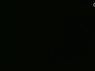 等风也等你