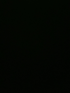 不要留下我一个人孤军奋战..