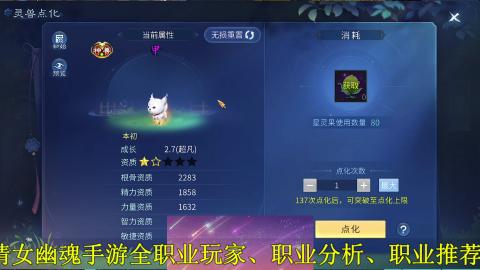 背饰打造，账号托管