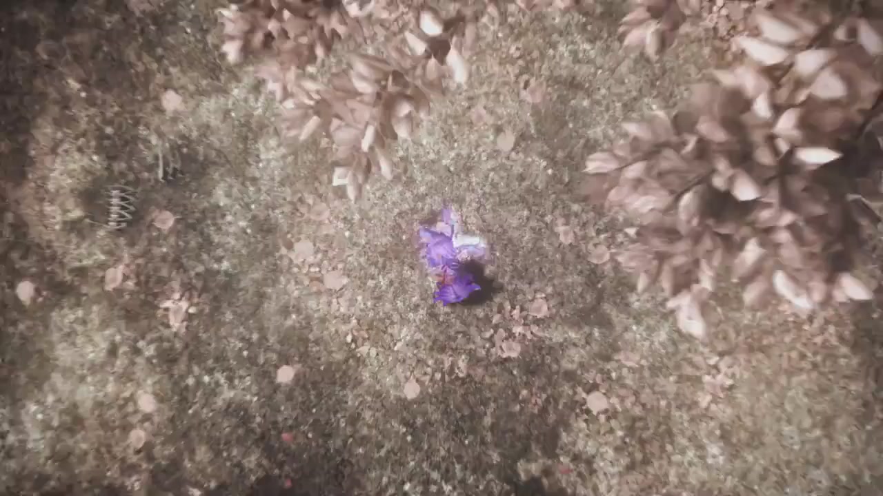 梦幻西游动画片第四季第11集