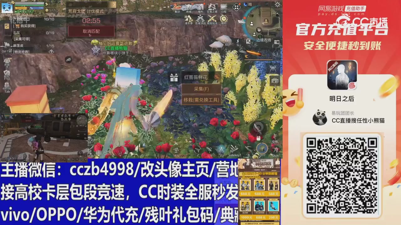 永久cc秒发，改头像主页，加v