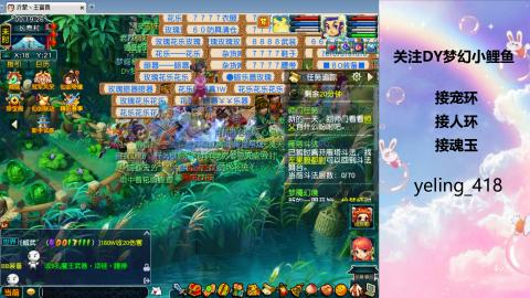 接命魂之玉 人环 宠环