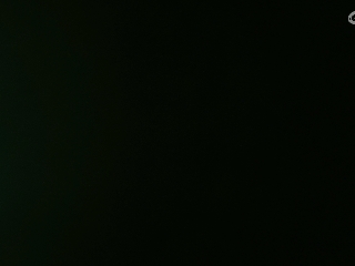 等风也等你