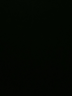 不要留下我一个人孤军奋战..