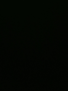 不要留下我一个人孤军奋战..