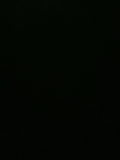 不要留下我一个人孤军奋战..