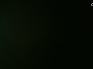 等风也等你