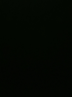 不要留下我一个人孤军奋战..