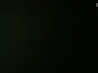 等风也等你