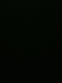 不要留下我一个人孤军奋战..