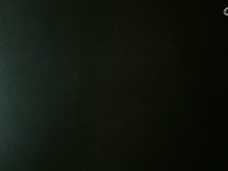 等风也等你