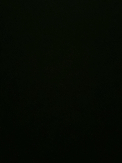 不要留下我一个人孤军奋战..